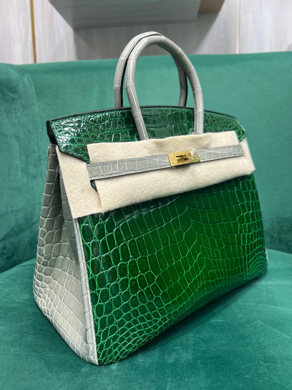 Birkin Lizard