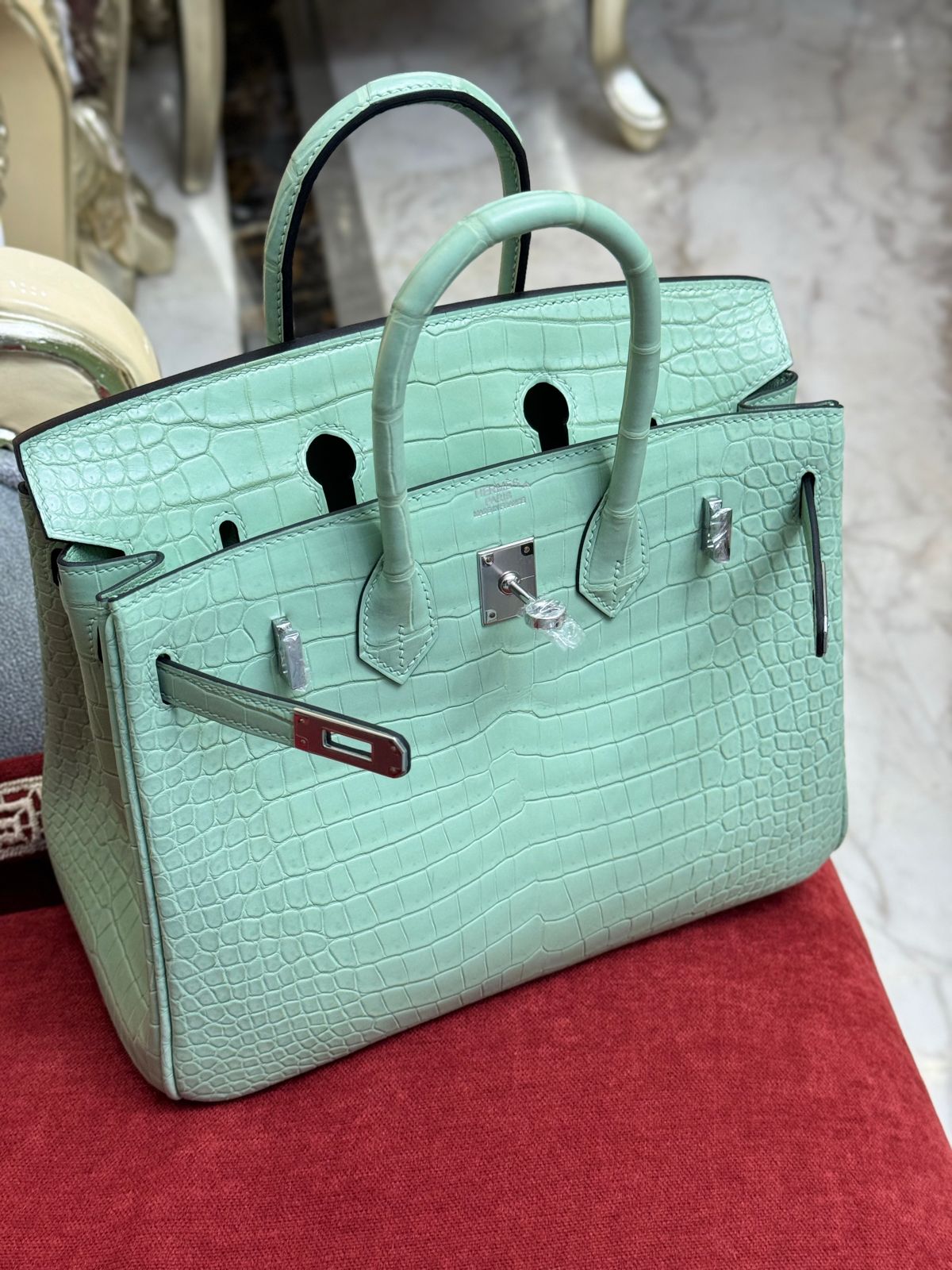 Birkin Lizard