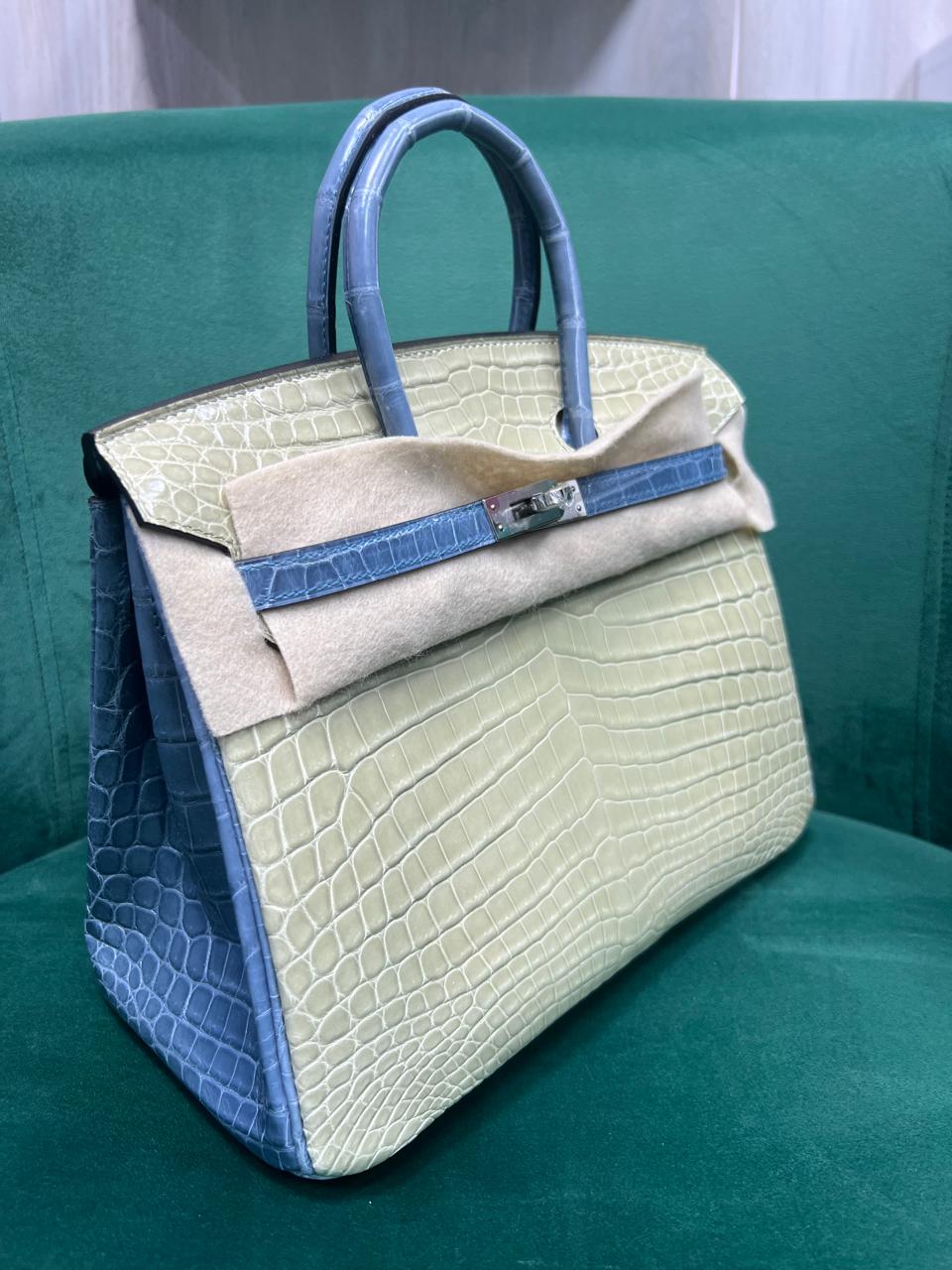 Birkin Lizard