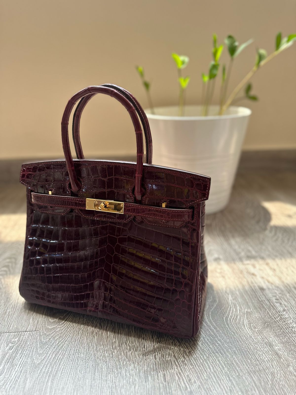 Birkin Lizard