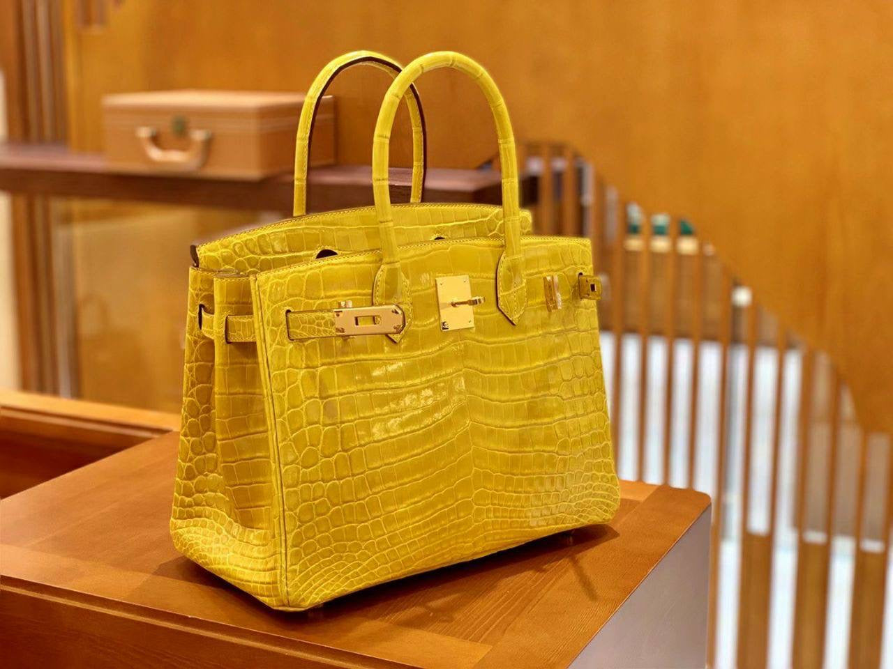 Birkin Lizard