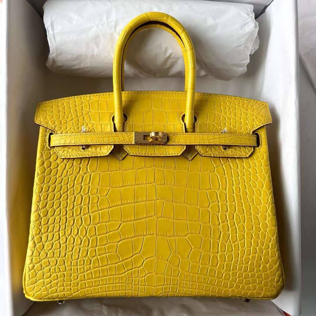 Birkin Lizard