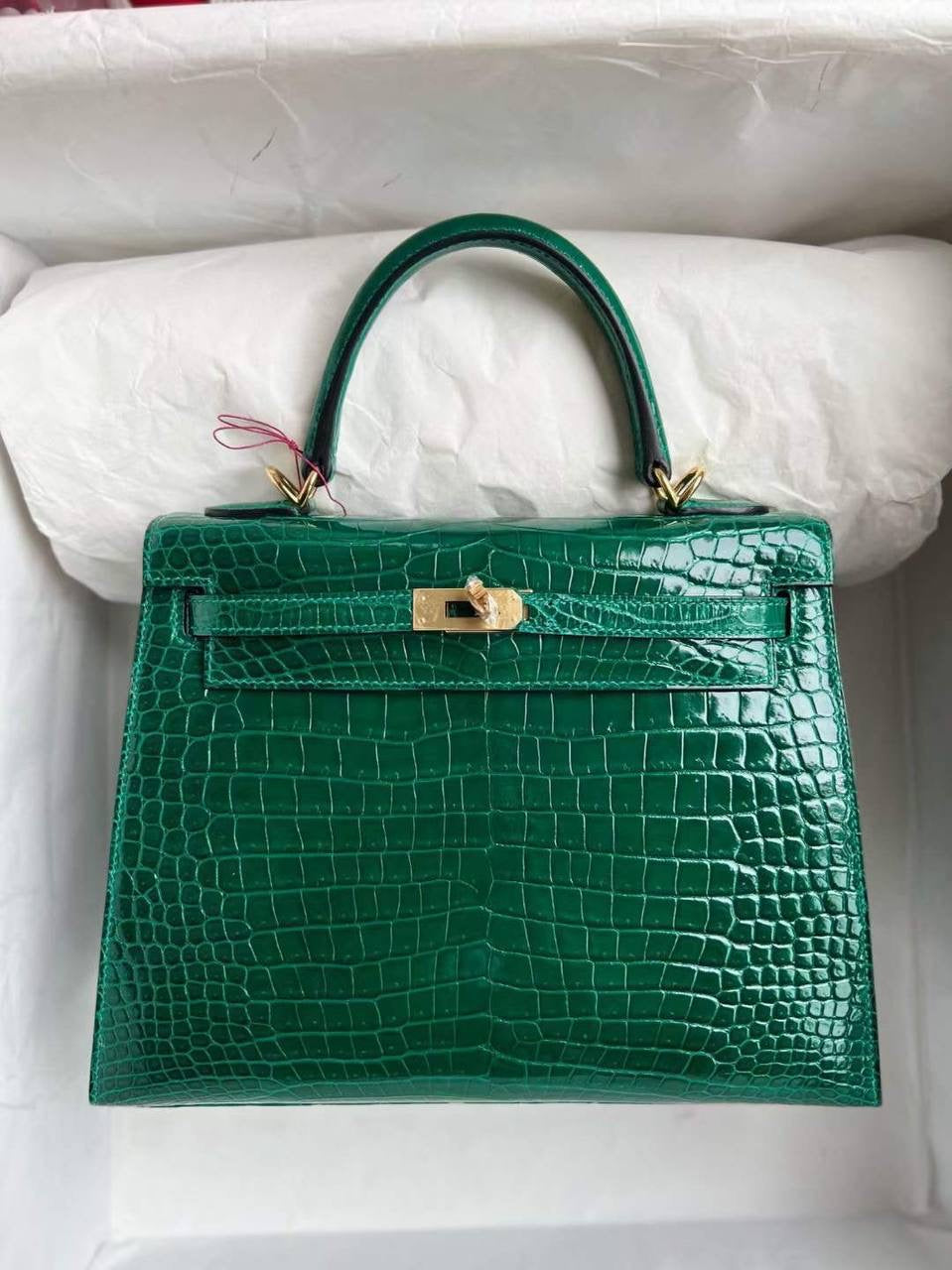 Birkin Lizard