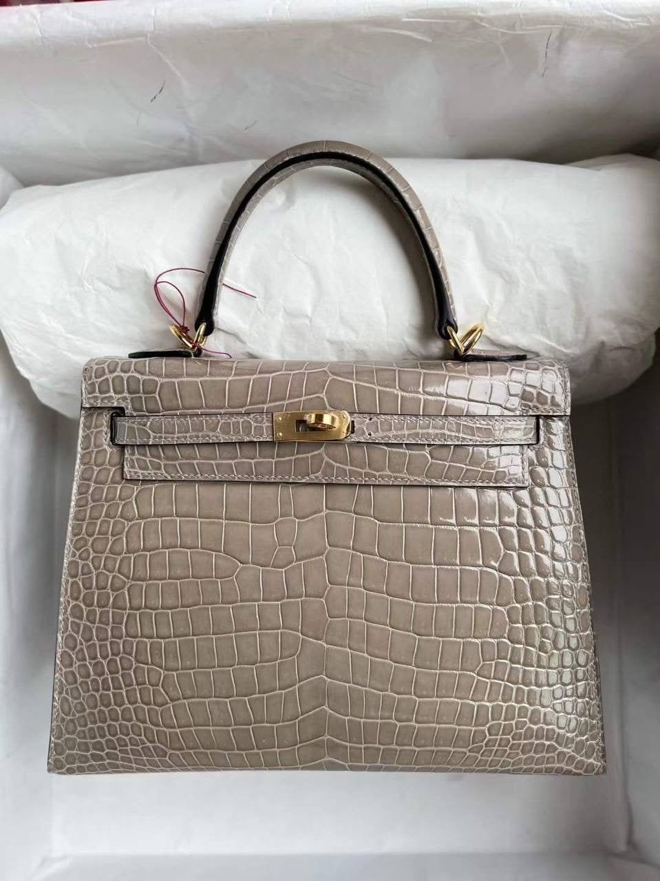 Birkin Lizard