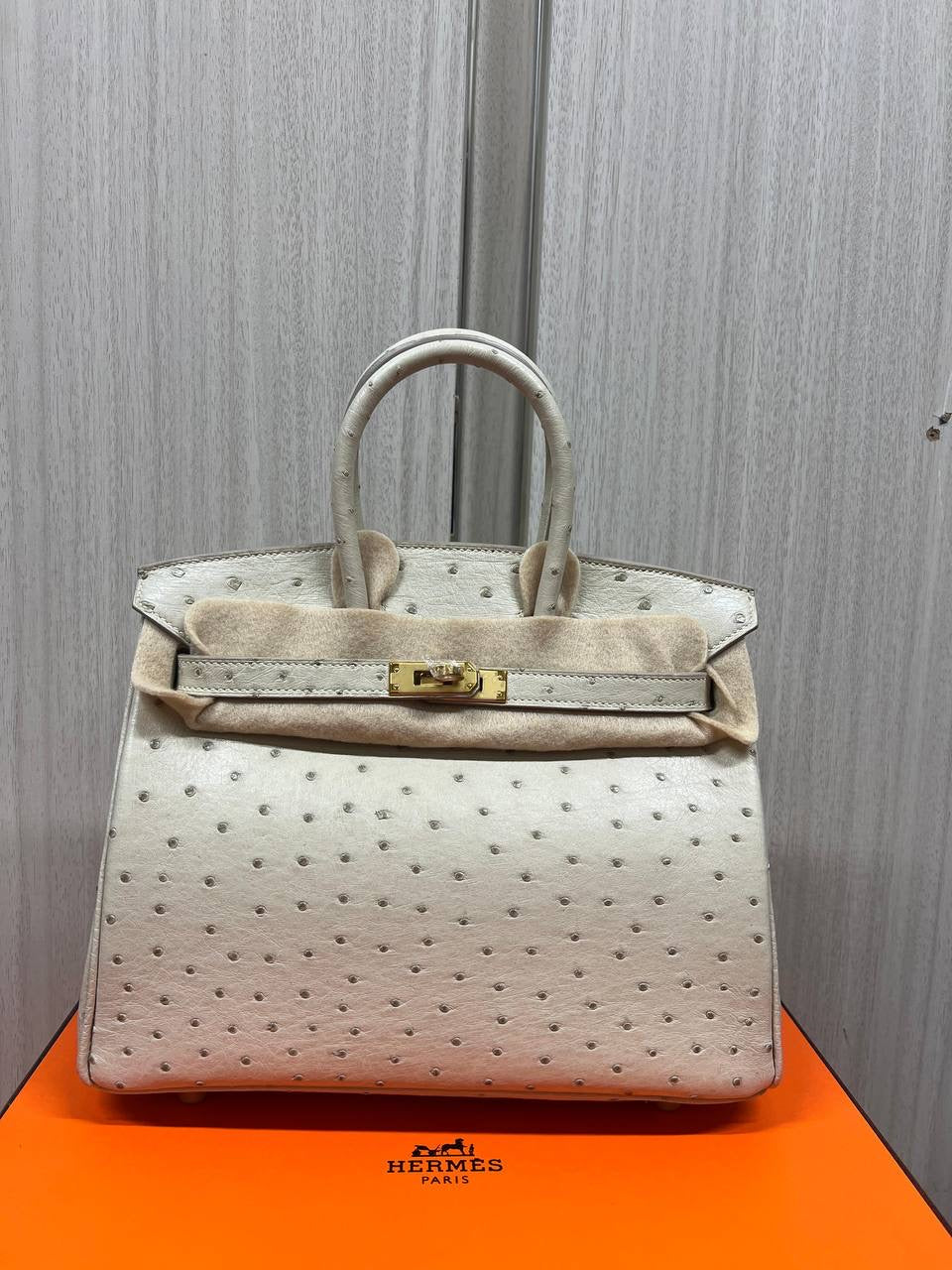 Birkin Ostrich