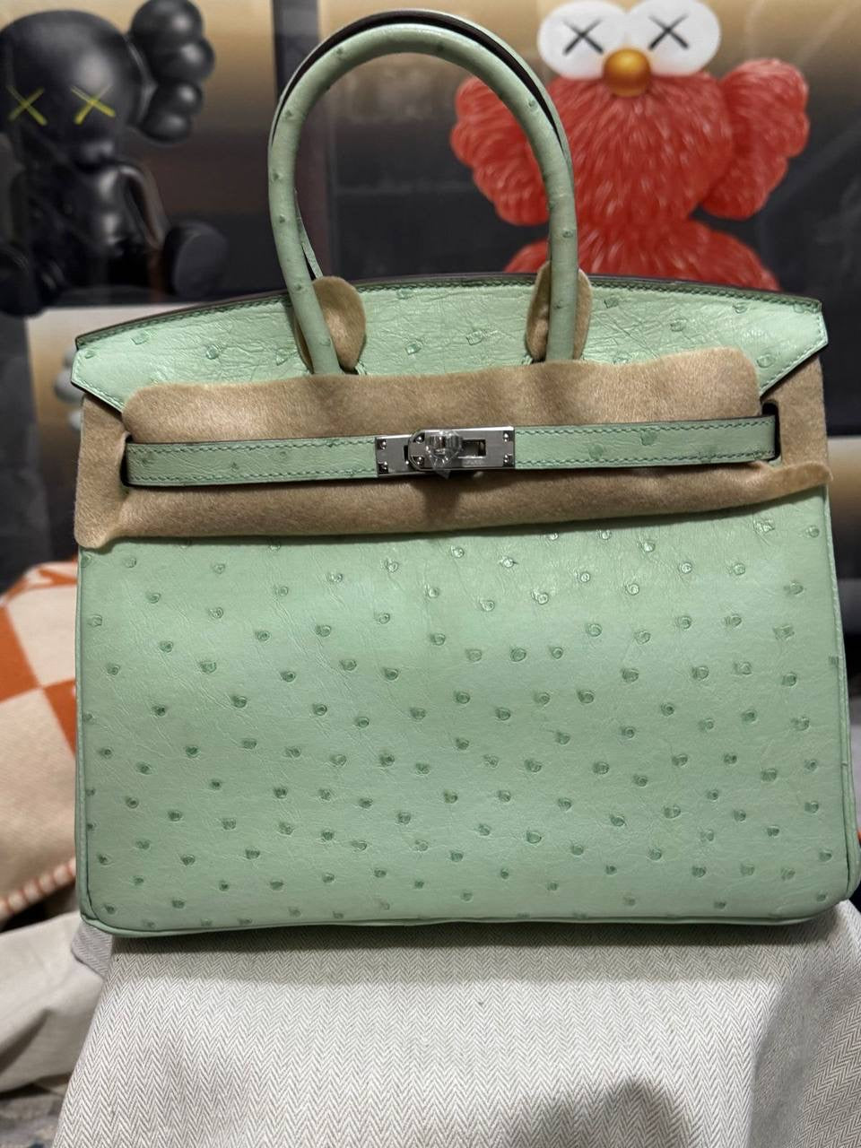 Birkin Ostrich