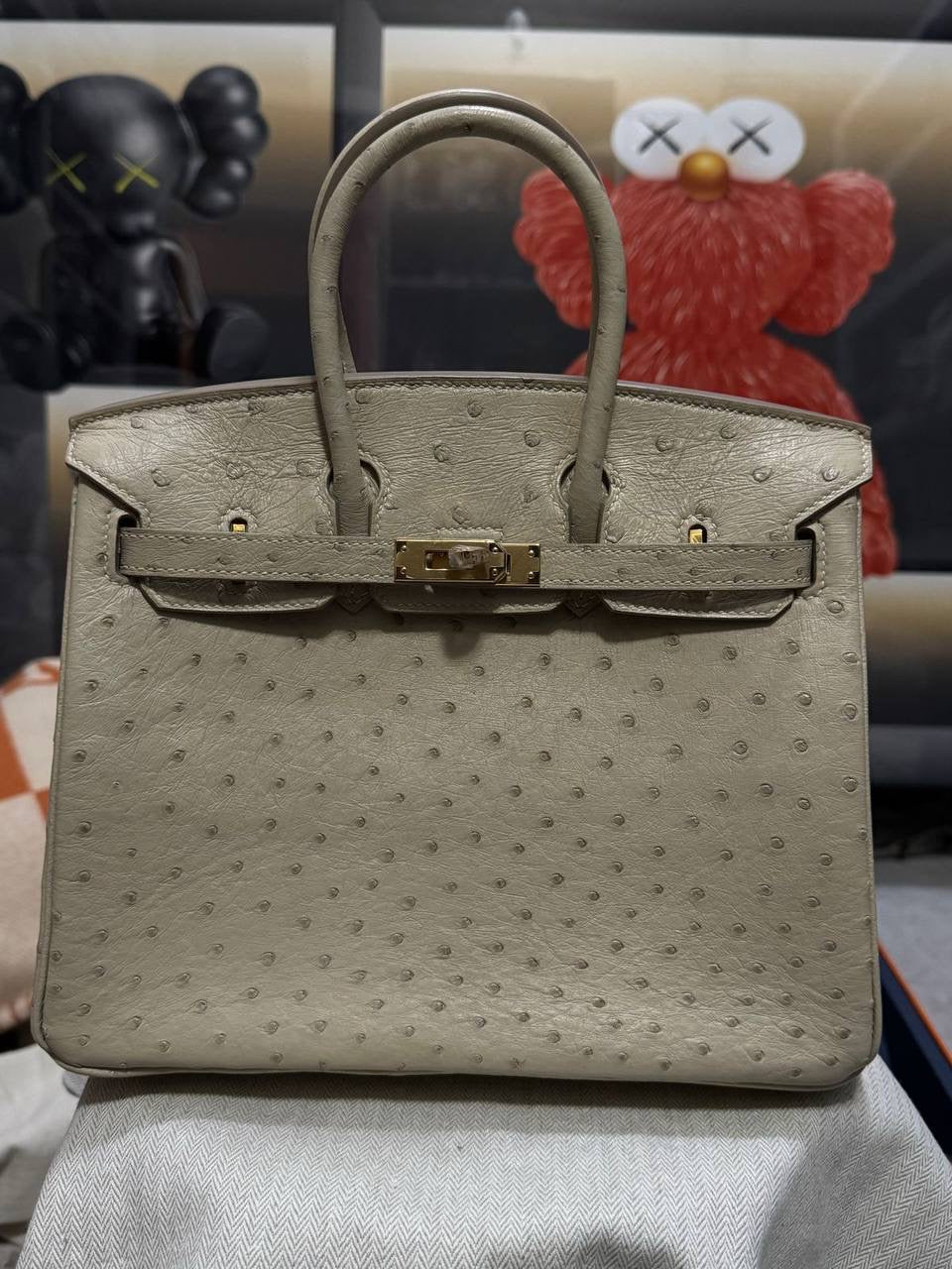 Birkin Ostrich