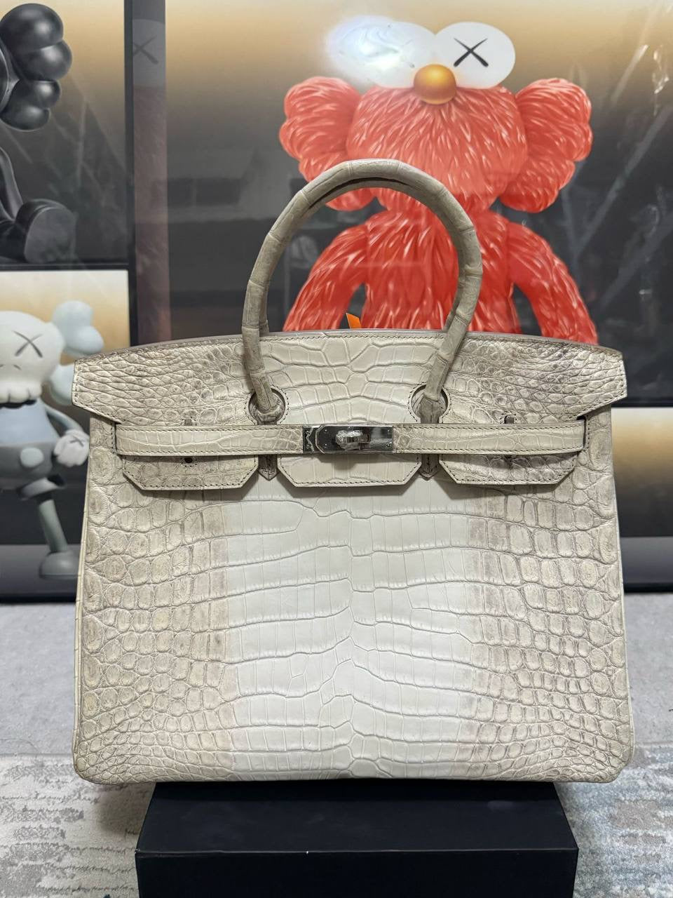 Birkin Lizard