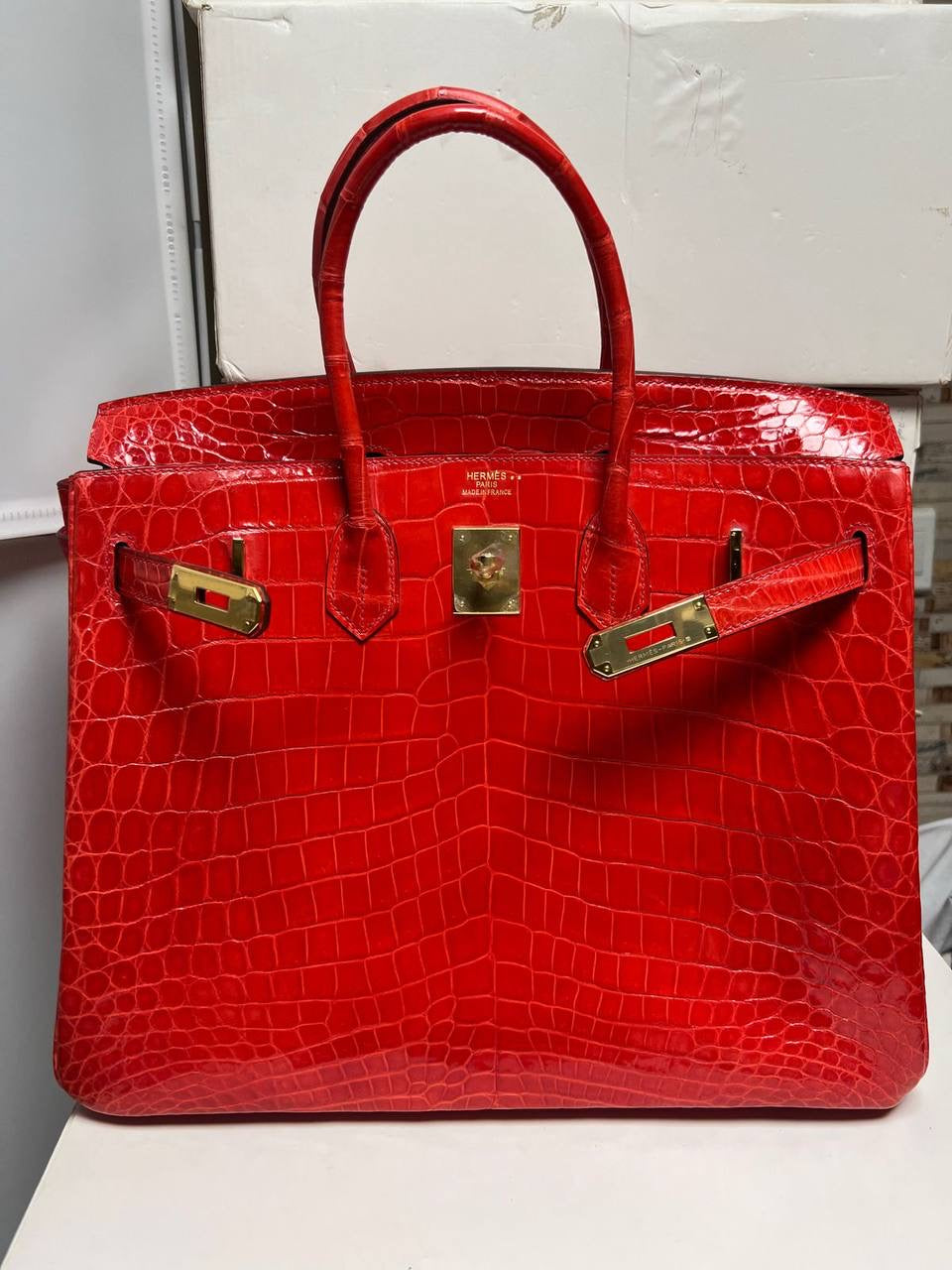 Birkin Lizard