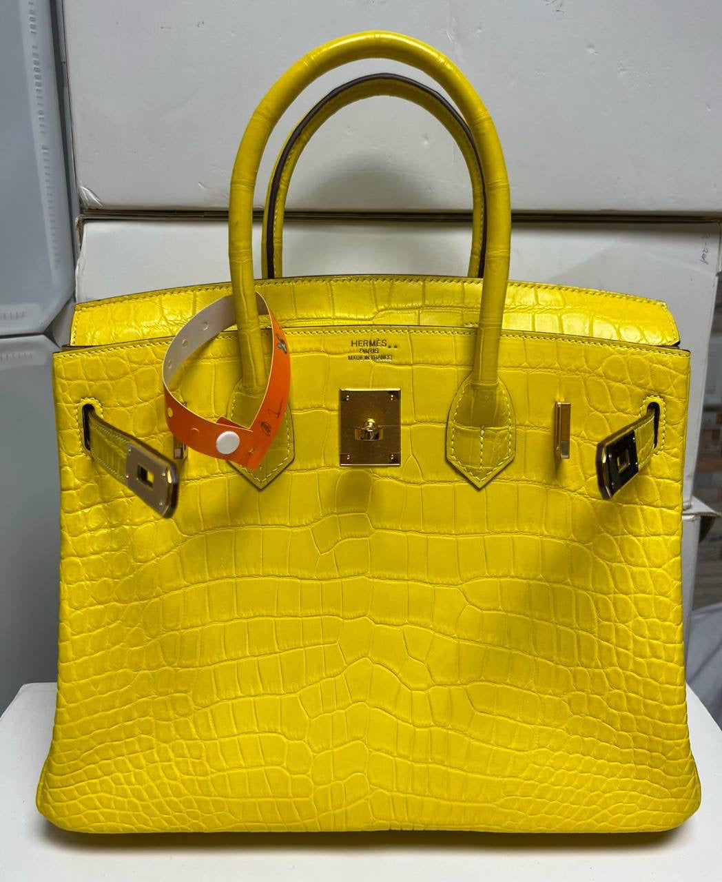 Birkin Lizard