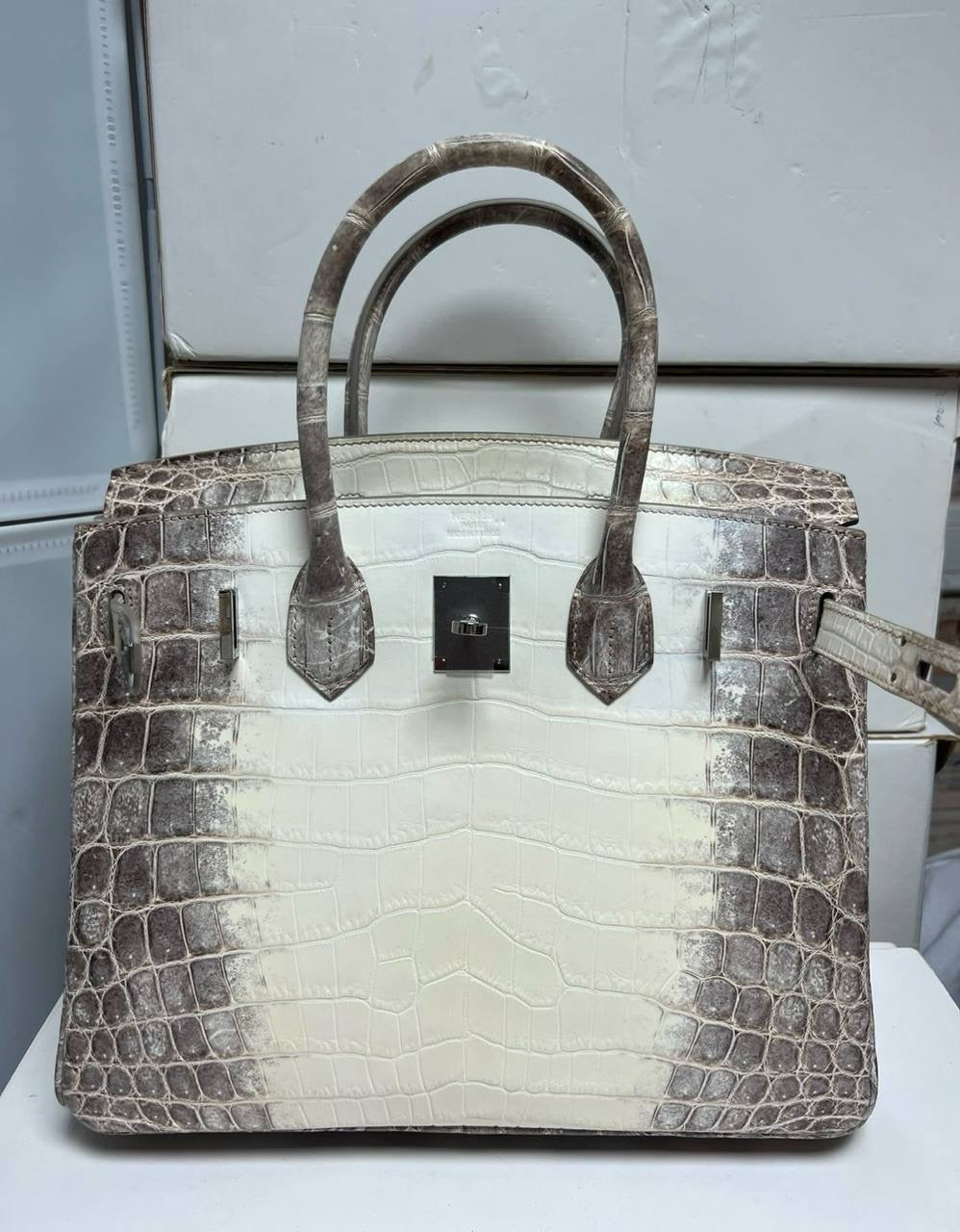 Birkin Lizard