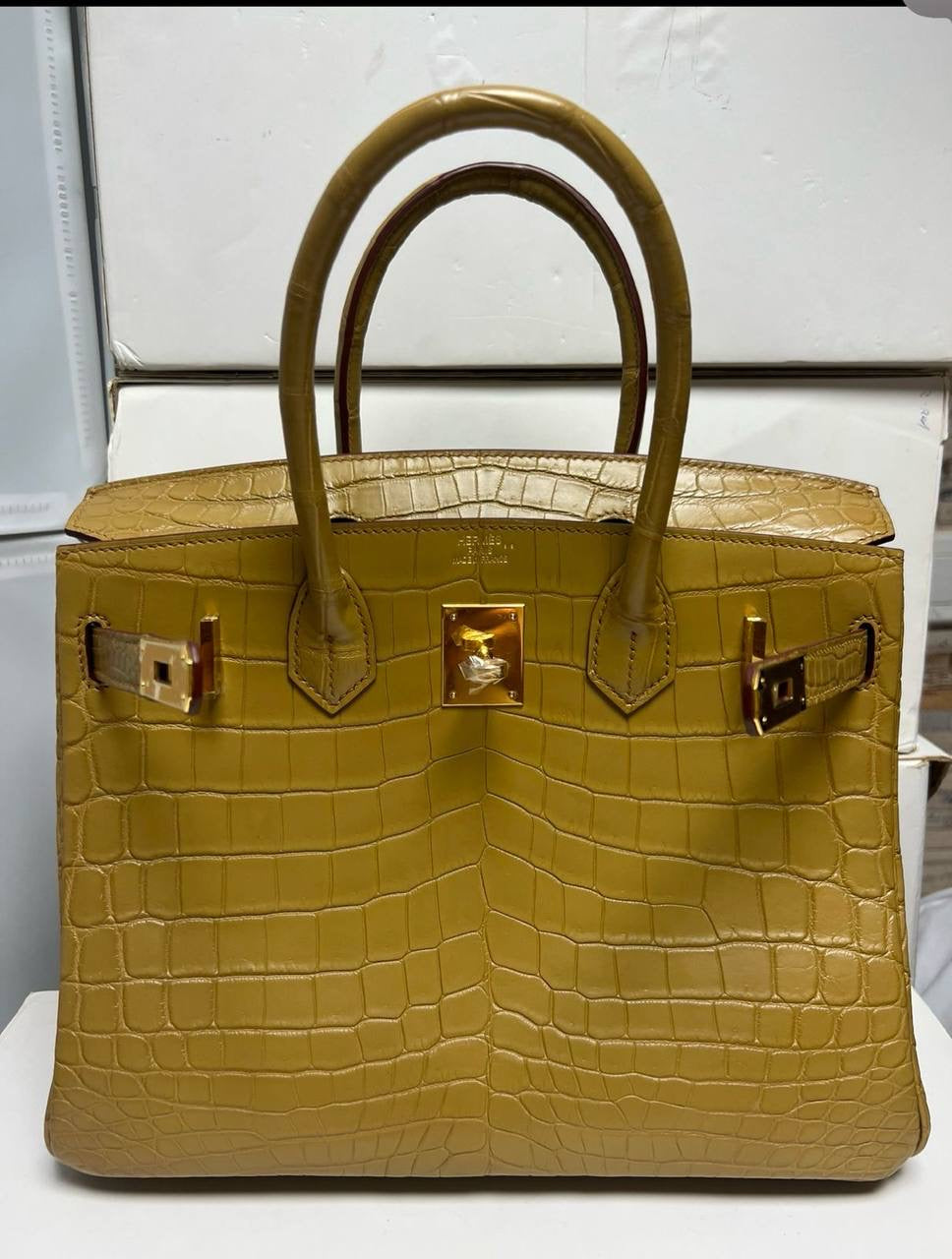 Birkin Lizard