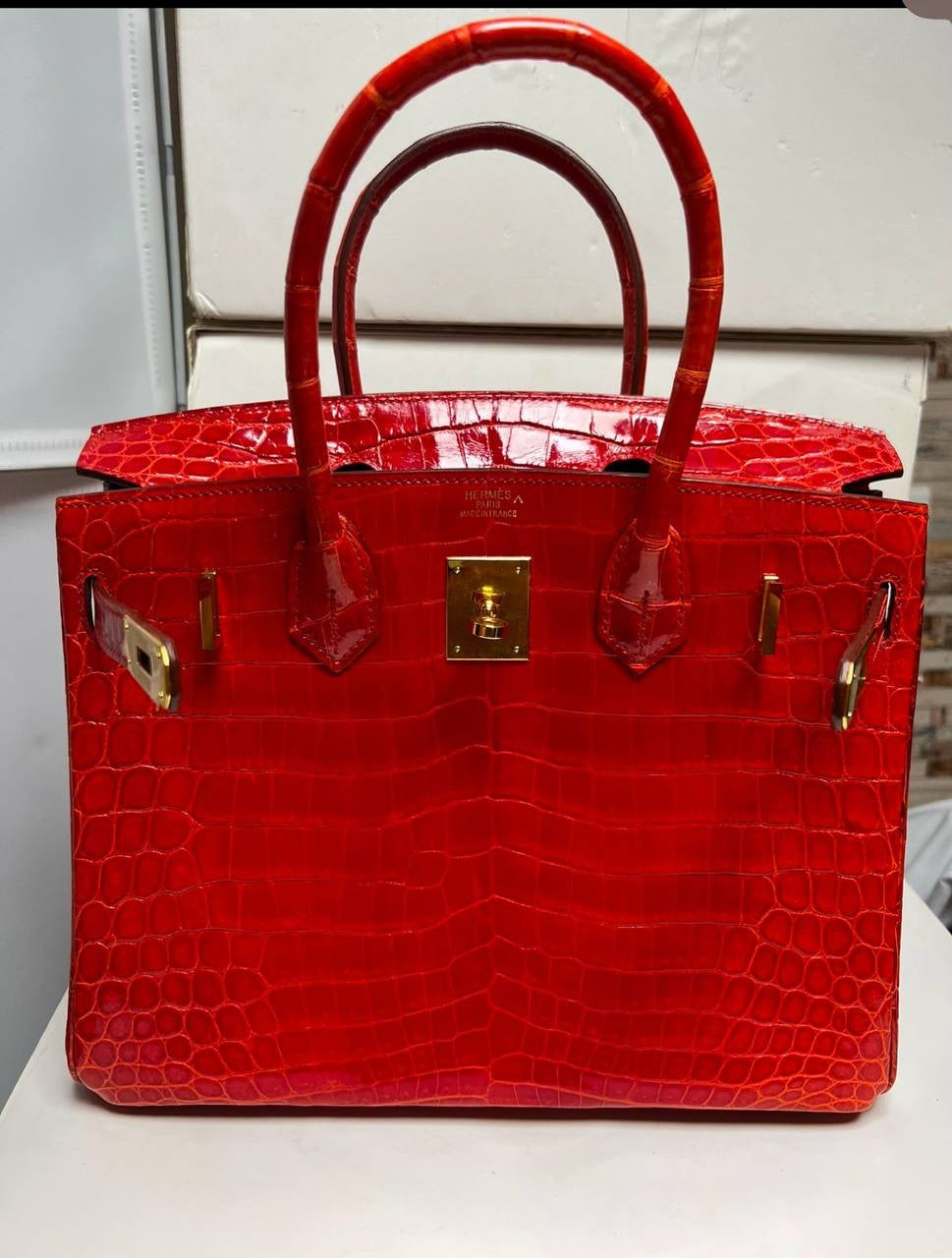 Birkin Lizard