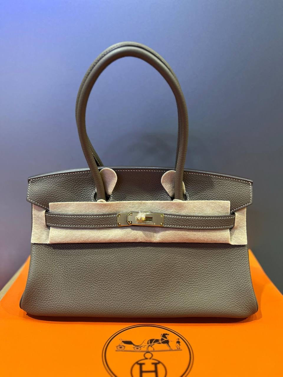 Birkin Bag