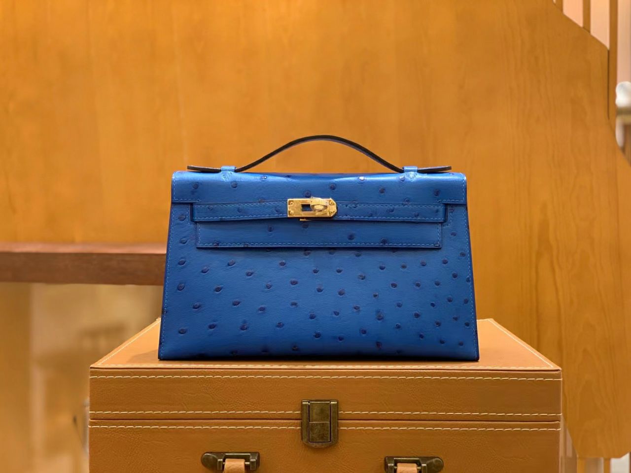 Pochette Ostrich