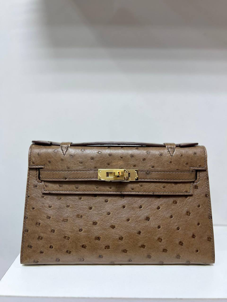 Pochette Ostrich