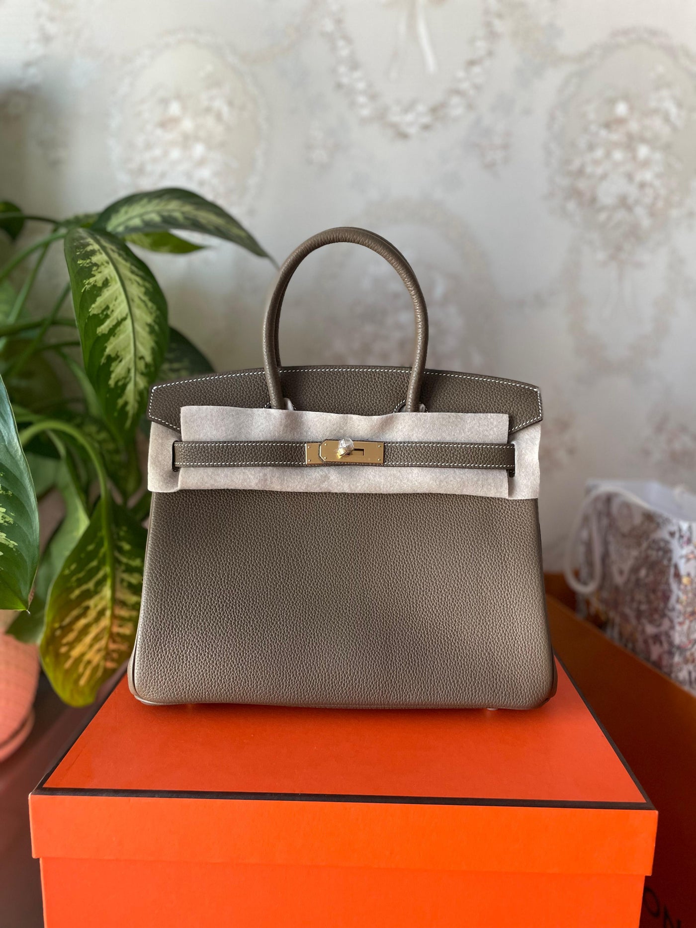 Birkin Bag