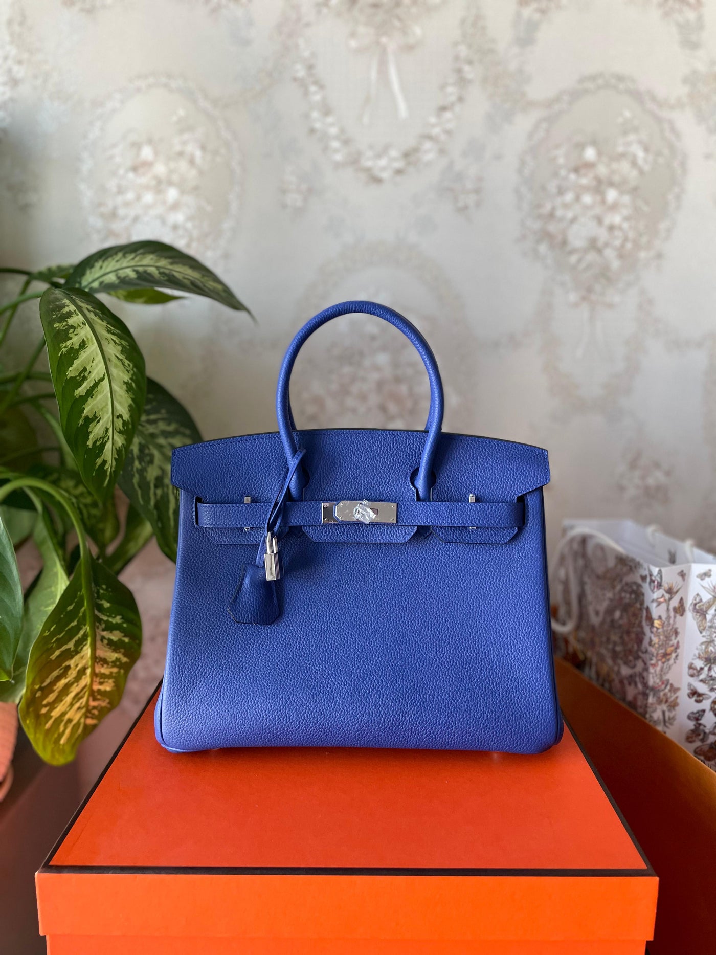 Birkin Bag