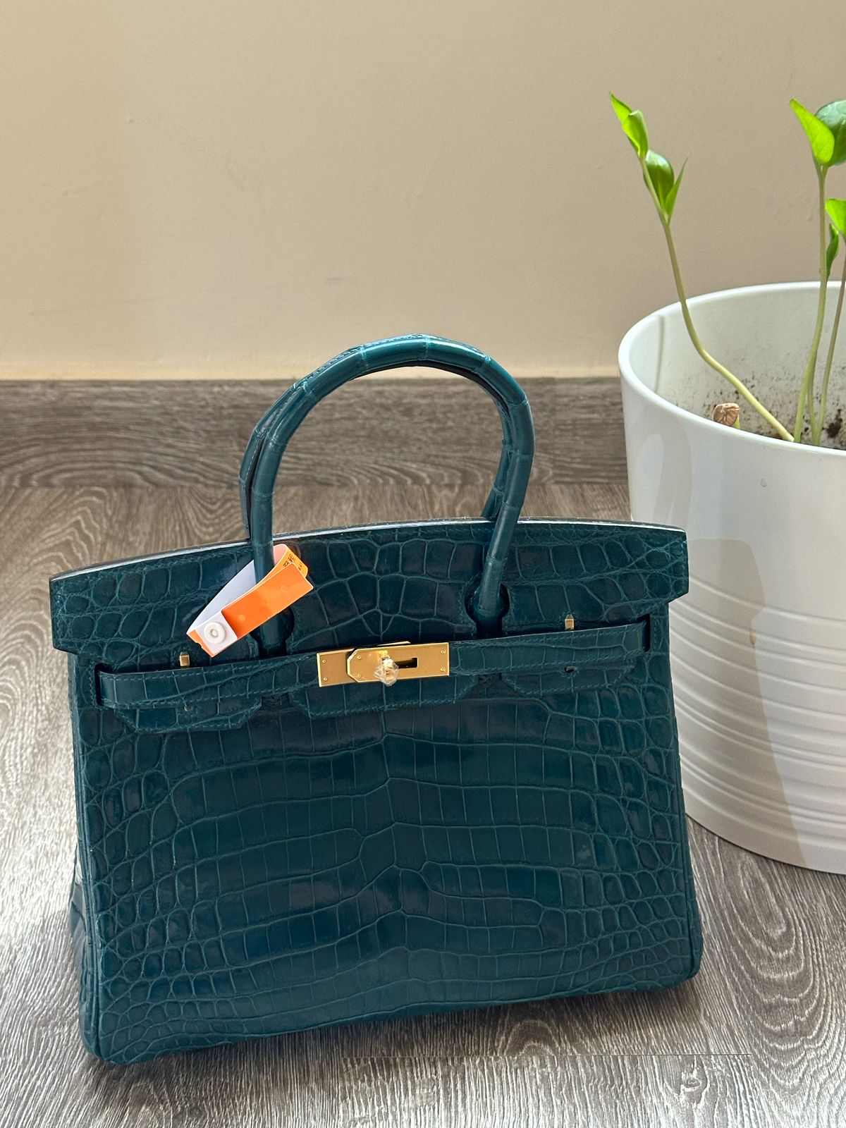 Birkin Lizard