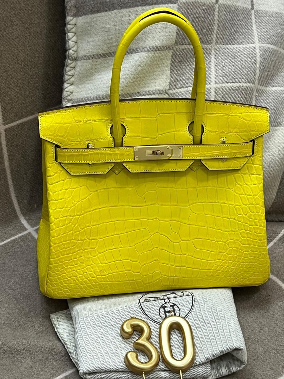 Birkin Lizard