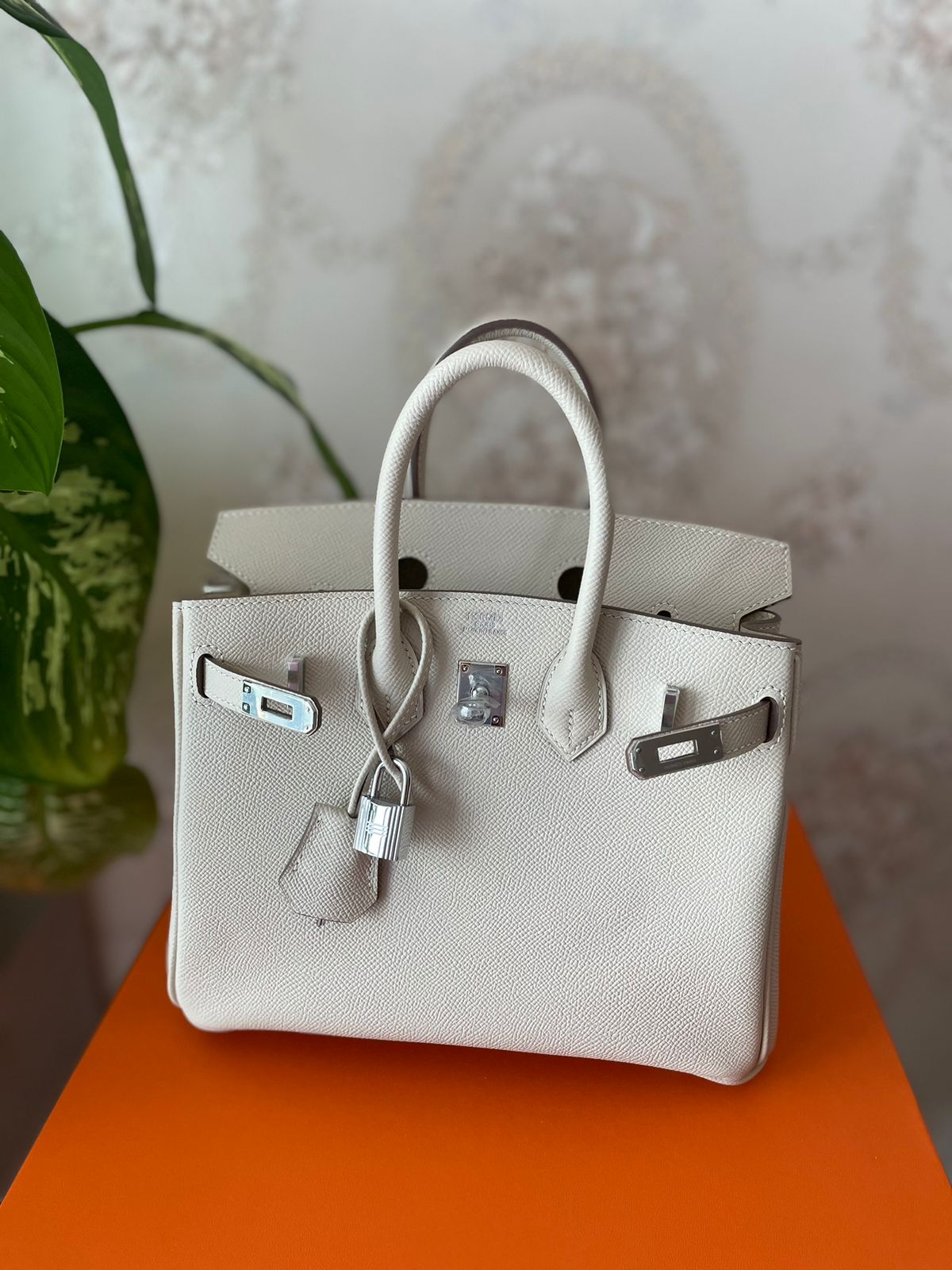 Birkin Bag