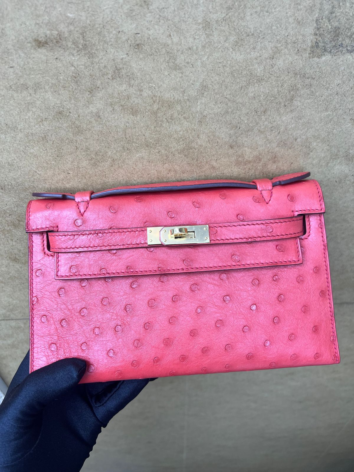 Pochette Ostrich